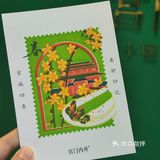 3.24实况🌸什刹海小众赏春机位分享