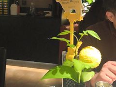 -拉蒂娜·巴西牛排馆 Latina·Brazilian Steakhouse(王府井喜悦店)