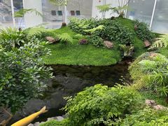 -罗红摄影艺术馆