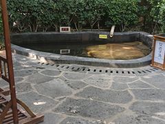 -西安国际创新人才交流中心•药浴温泉