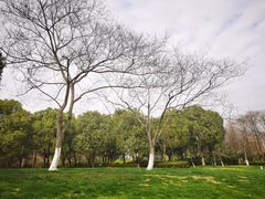 -尚贤河湿地