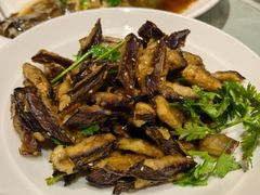 不一样的茄子-朝馆·市井本味菜