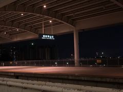 -深圳坪山站