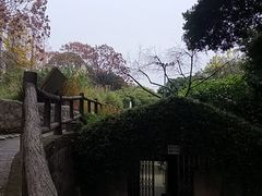 -成都市活水公园