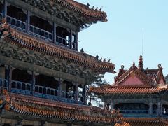 -沈阳市东陵公园