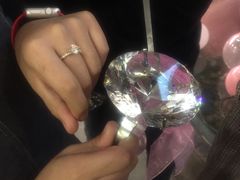 -百好乐宠物友好餐厅(朝外大街店)