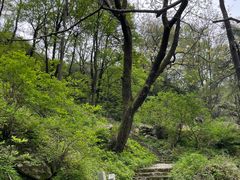 -秦岭终南山世界地质公园翠华山景区