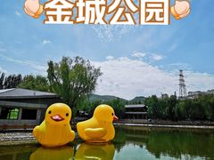 -金城公园