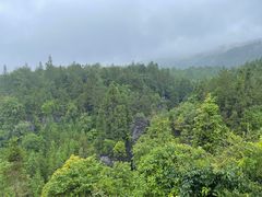 -梭布垭石林景区