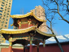 -护国法轮寺