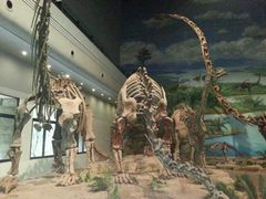 -自贡恐龙博物馆