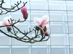 -东华门大街小区