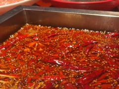 -二荆条·蜀鲜汇城市森林火锅