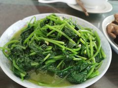 山芋藤-食客三千·老家