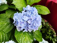 -杭州西湖风景名胜区-钱祠表忠