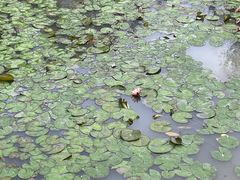 -上海交通大学(闵行校区)