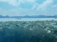 -湖畔居茶楼(湖滨店)