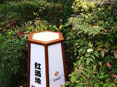 -杭州第1世界大酒店云曼温泉-停车场