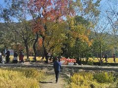 -塔川景区