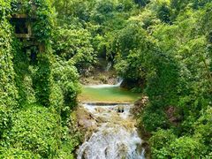 -南海湾森林生态园
