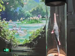 -中国湿地博物馆