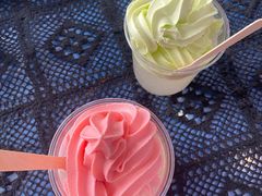 -萨朗刀克冰淇淋雪花凉(植物园店)