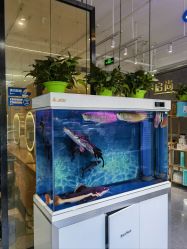 -宝诗护肤造型