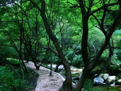 -少华山国家森林公园