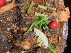 -老板恋上鱼(恒隆广场店)