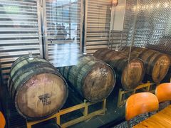 -Twin Tails Brewpub双尾精酿餐吧(八坼店)