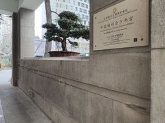 -中国福利会少年宫