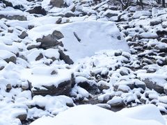 -少华山国家森林公园