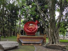 -瑞丽独树成林风景区