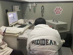 -伟伟宠物医院·瑞派猫友好医院·猫科(光谷店)