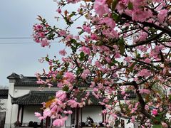 -苏州上方山国家森林公园