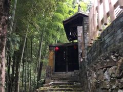 -花岩国家森林公园