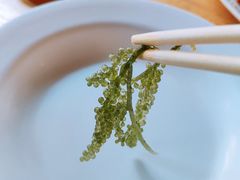 -拉威海鲜市场