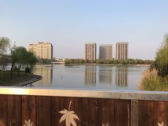 -南翔镇银翔湖公园