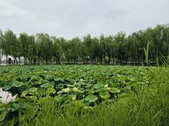 -廊坊文化艺术中心