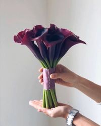 -禧趣婚礼