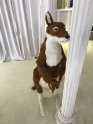 -星光贝贝(万达店)