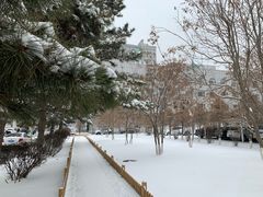 -吉林大学中日联谊医院(中心院区)