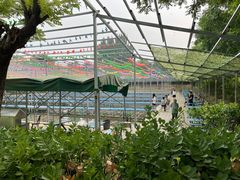 -北京上庄水库尚野露天户外自助烧烤