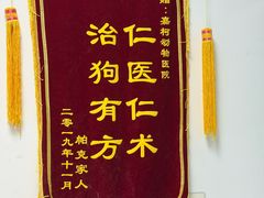 -嘉馨宠物医院·CT影像转诊·心脏科·犬猫全科诊疗中心(下沙大学城院区)