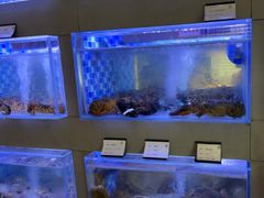 -映像威海·威海宴(威高广场店)