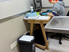 -爱妮康宠物医院·干细胞免疫细胞·肿瘤·心脏(张江店)