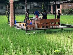 -洪湖家庭农场·团建·露营·会议