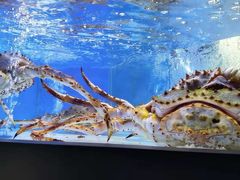 -澜棠海鲜(余姚阳明古镇店)