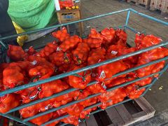 -东方鼎信农副产品交易中心