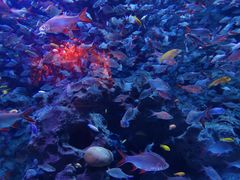 -成都浩海立方海洋公园